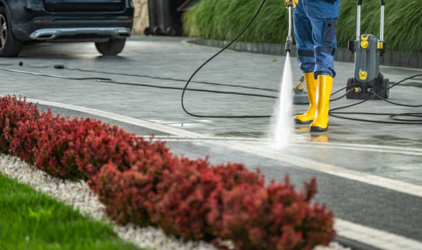 Local Pressure Washing Services in Elk Grove, CA